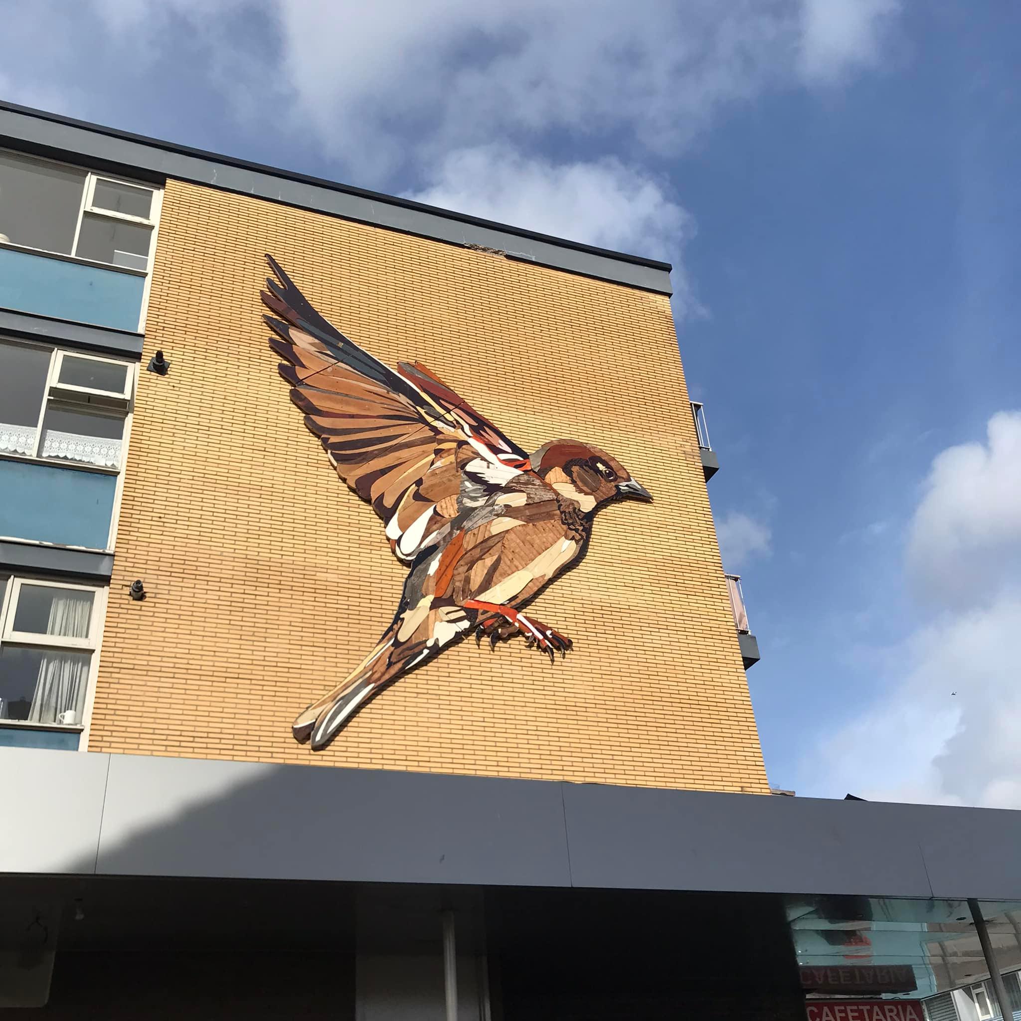 Mus van oud hout op de Riebeeck-galerij